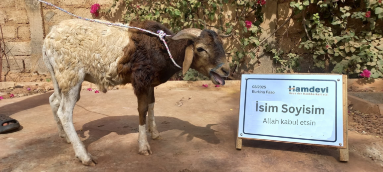 Kurban Adak Akika Şükür
